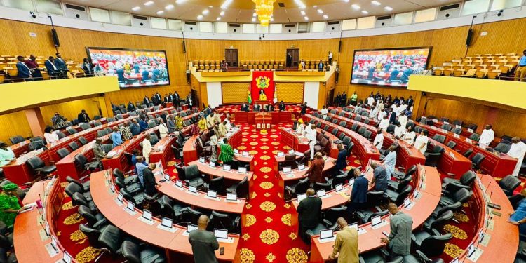 What the Parliament of Ghana actually does