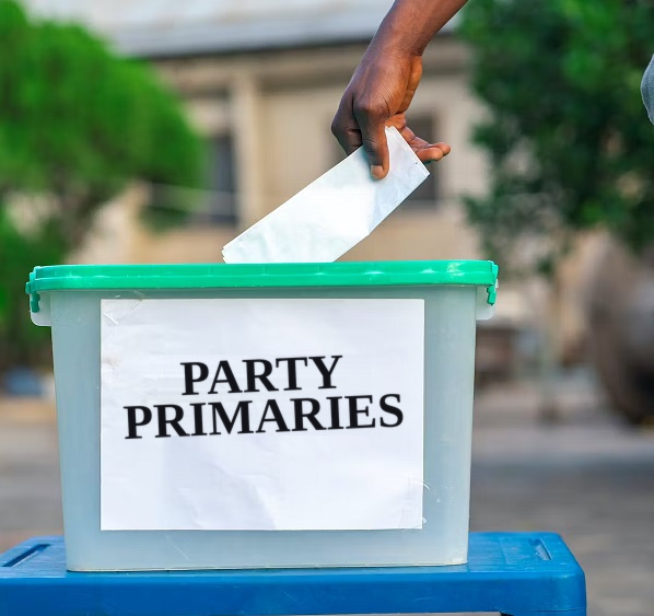 Party Primaries: How Candidates Are Chosen in Ghana